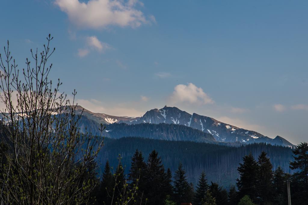 Willa Stachoniówka 2 Zakopane Exterior foto